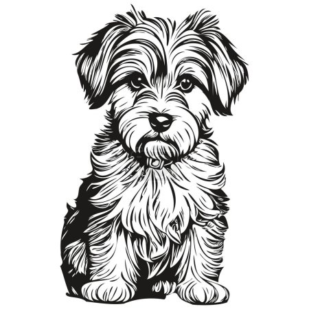 Illustration for Dandie Dinmont Terriers dog isolated drawing on white background, head pet line illustration sketch drawing - Royalty Free Image