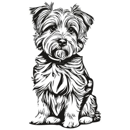 Illustration for Dandie Dinmont Terriers dog logo vector black and white, vintage cute dog head engraved realistic breed pet - Royalty Free Image