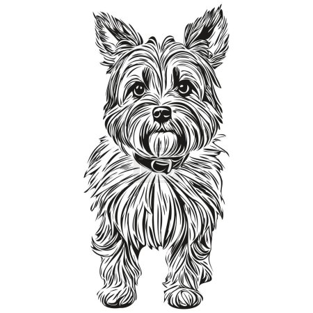 Illustration for Dandie Dinmont Terriers dog logo vector black and white, vintage cute dog head engraved realistic pet silhouette - Royalty Free Image