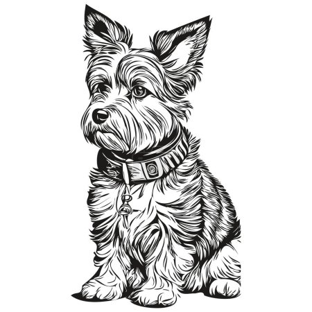 Illustration for Dandie Dinmont Terriers dog line illustration, black and white ink sketch face portrait in vector realistic breed pet - Royalty Free Image