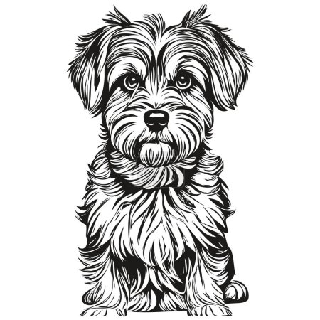 Illustration for Dandie Dinmont Terriers dog logo vector black and white, vintage cute dog head engraved sketch drawing - Royalty Free Image