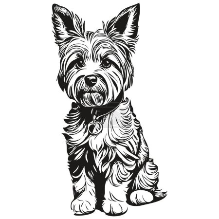 Illustration for Dandie Dinmont Terriers dog outline pencil drawing artwork, black character on white background realistic pet silhouette - Royalty Free Image
