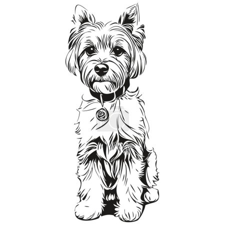Illustration for Dandie Dinmont Terriers dog outline pencil drawing artwork, black character on white background realistic breed pet - Royalty Free Image