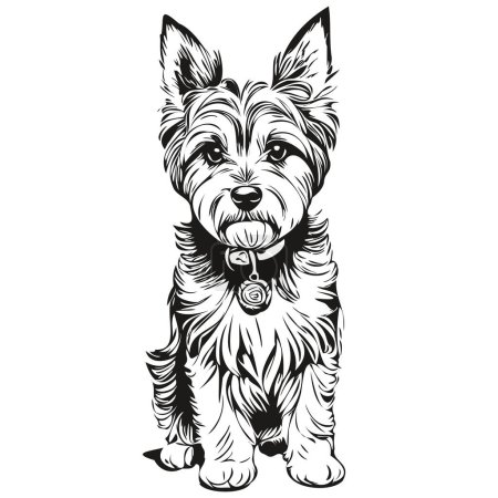 Illustration for Dandie Dinmont Terriers dog outline pencil drawing artwork, black character on white background sketch drawing - Royalty Free Image