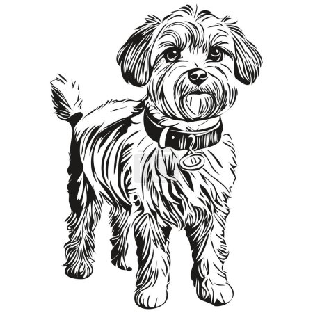 Illustration for Dandie Dinmont Terriers dog pencil hand drawing vector, outline illustration pet face logo black and white realistic breed pet - Royalty Free Image