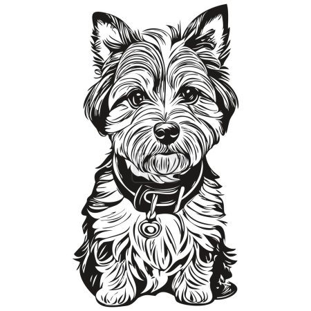 Ilustración de Dandie Dinmont Terriers perro mascota silueta, animal línea ilustración dibujado a mano negro y blanco vector realista raza mascota - Imagen libre de derechos