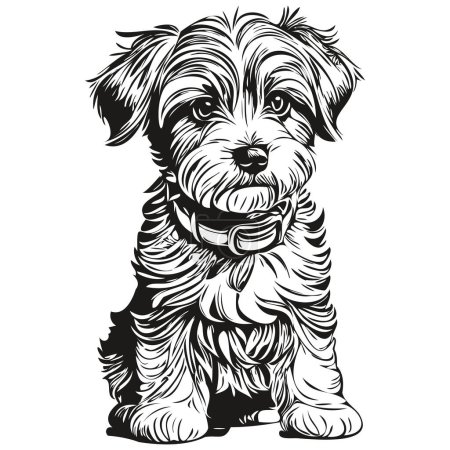Ilustración de Dandie Dinmont Terriers perro lápiz mano dibujo vector, contorno ilustración mascota cara logo blanco y negro - Imagen libre de derechos