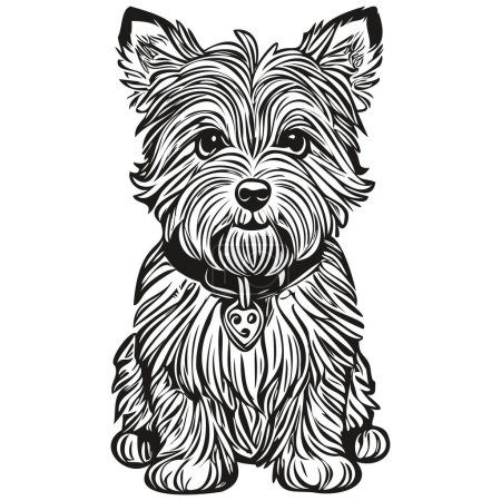 Illustration for Dandie Dinmont Terriers dog pet sketch illustration, black and white engraving vector realistic pet silhouette - Royalty Free Image