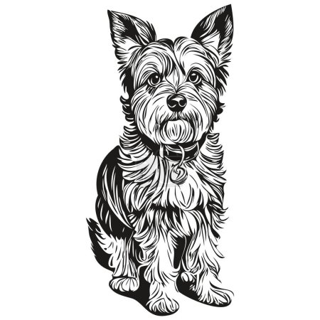 Illustration for Dandie Dinmont Terriers dog pet silhouette, animal line illustration hand drawn black and white vector - Royalty Free Image