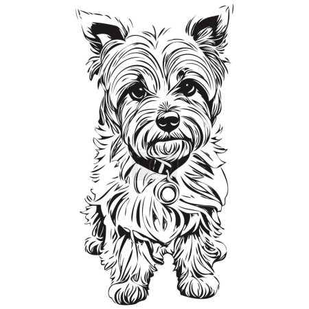 Illustration for Dandie Dinmont Terriers dog pet sketch illustration, black and white engraving vector sketch drawing - Royalty Free Image