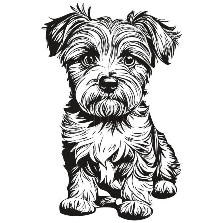 Illustration for Dandie Dinmont Terriers dog pet silhouette, animal line illustration hand drawn black and white vector realistic pet silhouette - Royalty Free Image