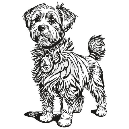Illustration for Dandie Dinmont Terriers dog pet sketch illustration, black and white engraving vector - Royalty Free Image