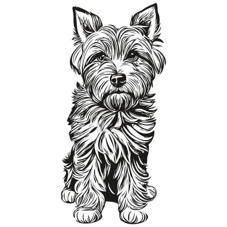Illustration for Dandie Dinmont Terriers dog realistic pencil drawing in vector, line art illustration of dog face black and white - Royalty Free Image