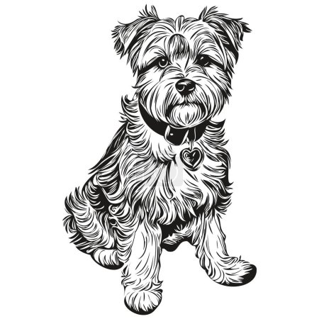 Illustration for Dandie Dinmont Terriers dog portrait in vector, animal hand drawing for tattoo or tshirt print illustration - Royalty Free Image
