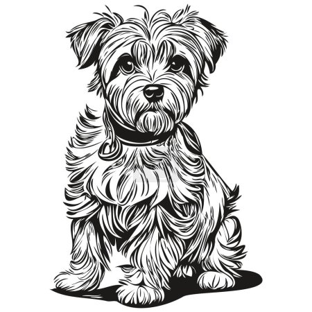 Illustration for Dandie Dinmont Terriers dog realistic pet illustration, hand drawing face black and white vector - Royalty Free Image
