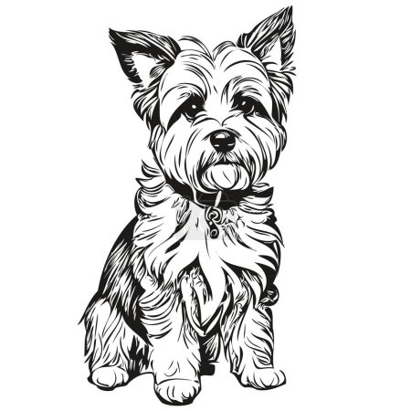Illustration for Dandie Dinmont Terriers dog silhouette pet character, clip art vector pets drawing black and white - Royalty Free Image