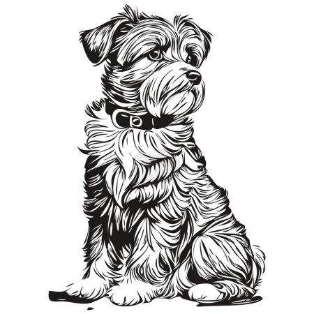 Ilustración de Dandie Dinmont Terriers perro camiseta impresión blanco y negro, lindo contorno divertido dibujo vector realista raza mascota - Imagen libre de derechos