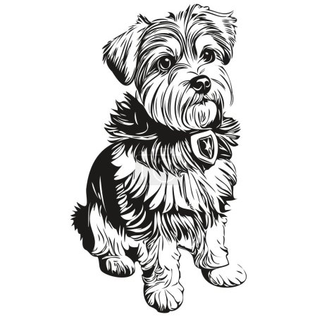 Illustration for Dandie Dinmont Terriers dog t shirt print black and white, cute funny outline drawing vector - Royalty Free Image