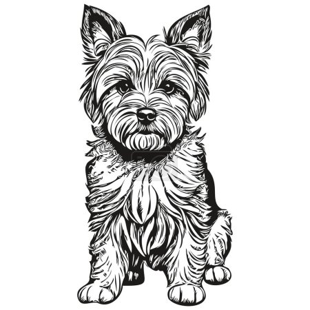 Illustration for Dandie Dinmont Terriers dog silhouette pet character, clip art vector pets drawing black and white sketch drawing - Royalty Free Image