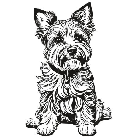 Illustration for Dandie Dinmont Terriers dog vector face drawing portrait, sketch vintage style transparent background sketch drawing - Royalty Free Image