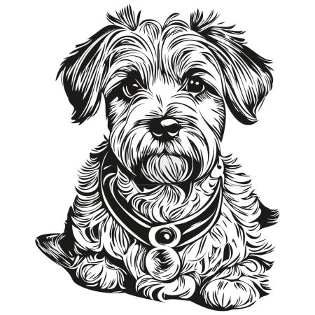 Illustration for Dandie Dinmont Terriers dog vector face drawing portrait, sketch vintage style transparent background realistic breed pet - Royalty Free Image
