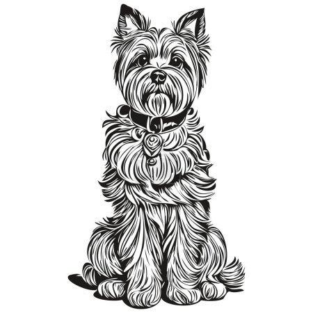 Illustration for Dandie Dinmont Terriers dog vector face drawing portrait, sketch vintage style transparent background - Royalty Free Image
