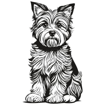 Illustration for Dandie Dinmont Terriers dog vector graphics, hand drawn pencil animal line illustration sketch drawing - Royalty Free Image
