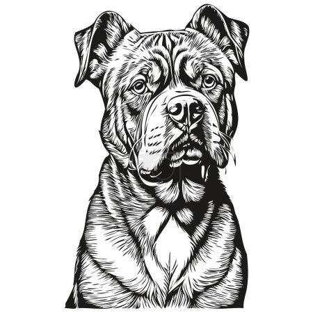 Ilustración de Dogue de Bordeaux perro negro dibujo vector, cara aislada dibujo línea ilustración - Imagen libre de derechos