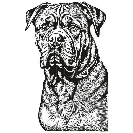 Illustration for Dogue de Bordeaux dog cartoon face ink portrait, black and white sketch drawing, tshirt print realistic breed pet - Royalty Free Image