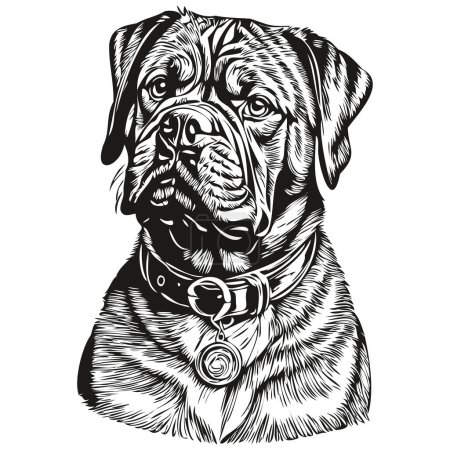 Ilustración de Dogue de Bordeaux perro grabado vector retrato, dibujo de la cara de la vendimia de dibujos animados en blanco y negro - Imagen libre de derechos