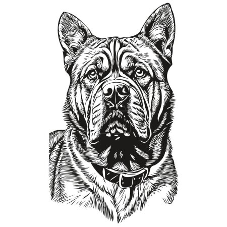 Ilustración de Dogue de Burdeos ilustración de línea de perro, retrato de cara de boceto de tinta en blanco y negro en vector realista raza mascota - Imagen libre de derechos