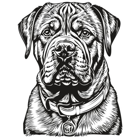 Ilustración de Dogue de Bordeaux perro contorno lápiz dibujo ilustraciones, carácter negro sobre fondo blanco - Imagen libre de derechos
