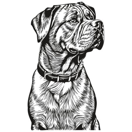 Ilustración de Dogue de Bordeaux perro contorno lápiz dibujo ilustraciones, negro carácter sobre fondo blanco realista raza mascota - Imagen libre de derechos