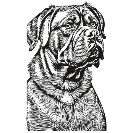 Ilustración de Dogue de Burdeos perro mascota silueta, animal línea ilustración dibujado a mano en blanco y negro dibujo vector - Imagen libre de derechos