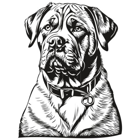 Illustration for Dogue de Bordeaux dog realistic pet illustration, hand drawing face black and white vector - Royalty Free Image