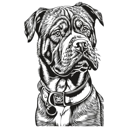 Illustration for Dogue de Bordeaux dog silhouette pet character, clip art vector pets drawing black and white realistic breed pet - Royalty Free Image