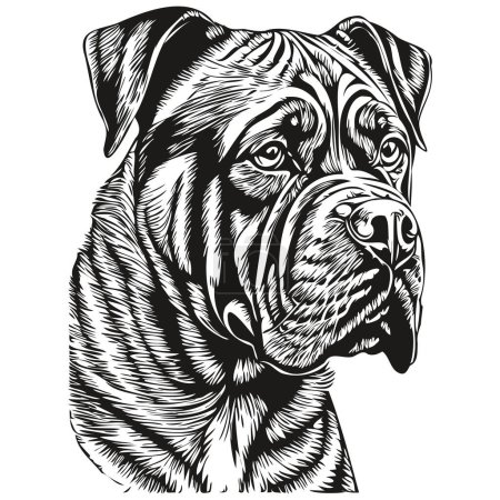 Illustration for Dogue de Bordeaux dog silhouette pet character, clip art vector pets drawing black and white - Royalty Free Image