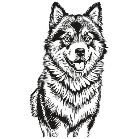 Illustration for Finnish Lapphund dog cartoon face ink portrait, black and white sketch drawing, tshirt print - Royalty Free Image