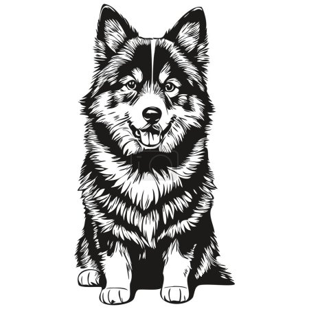 Téléchargez les illustrations : Finlandais Lapphund chien noir dessin vecteur, isolé visage peinture croquis ligne illustration réaliste race animal de compagnie - en licence libre de droit