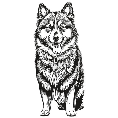 Téléchargez les illustrations : Finlandais Lapphund chien visage vecteur portrait, drôle contour animal illustration fond blanc - en licence libre de droit