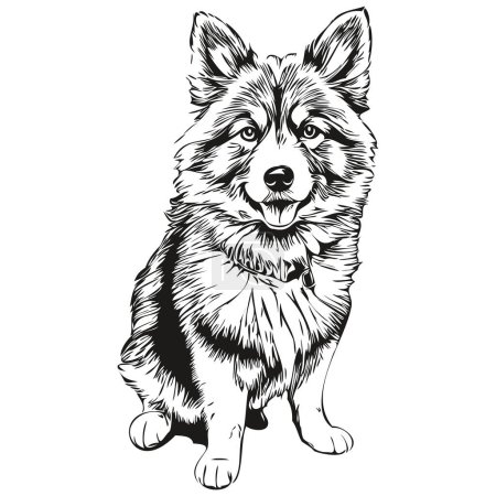 Illustration for Finnish Lapphund dog hand drawn logo drawing black and white line art pets illustration - Royalty Free Image