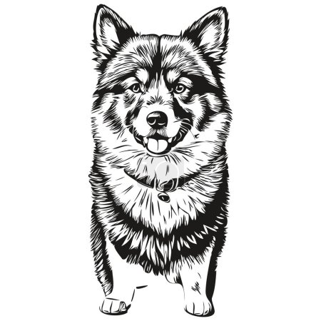 Téléchargez les illustrations : Croquis d'encre de chien finlandais Lapphund dessin, tatouage vintage ou t-shirt imprimé vecteur noir et blanc - en licence libre de droit