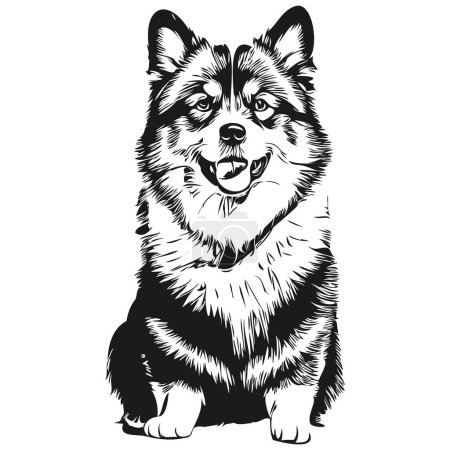 Téléchargez les illustrations : Finlandais Lapphund chien crayon dessin à la main vecteur, illustration contour animal visage logo noir et blanc - en licence libre de droit