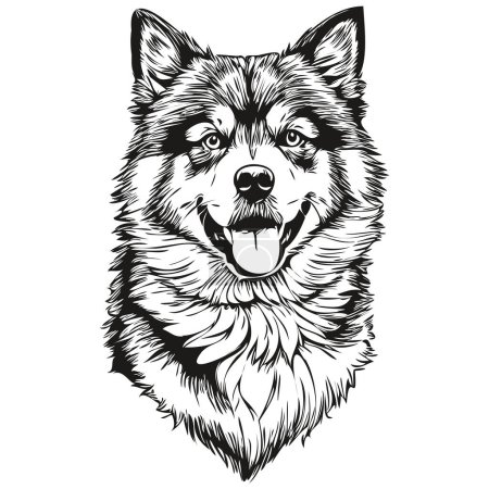 Téléchargez les illustrations : Finlandais Lapphund chien animal de compagnie silhouette, animal ligne illustration dessin vectoriel noir et blanc dessiné à la main dessin - en licence libre de droit
