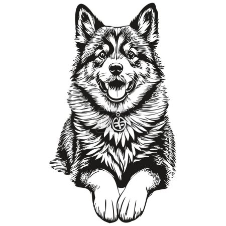 Téléchargez les illustrations : Chien finlandais Lapphund dessin au crayon réaliste en vecteur, illustration d'art linéaire du visage de chien animal de compagnie de race réaliste noir et blanc - en licence libre de droit
