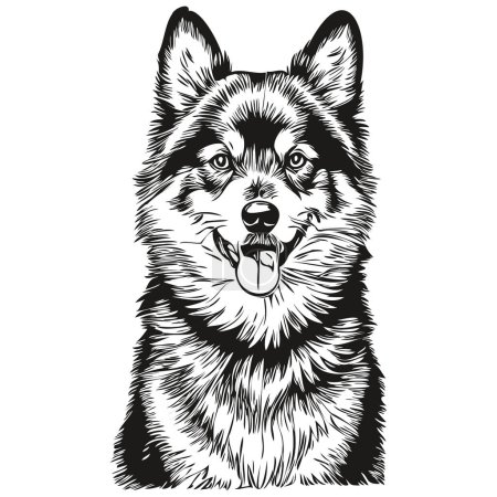 Téléchargez les illustrations : Chien finlandais Lapphund dessin au crayon réaliste en vecteur, illustration d'art linéaire du visage de chien noir et blanc - en licence libre de droit