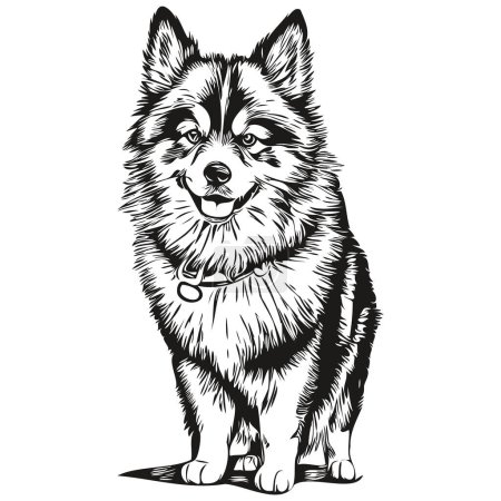 Illustration for Finnish Lapphund dog t shirt print black and white, cute funny outline drawing vector - Royalty Free Image