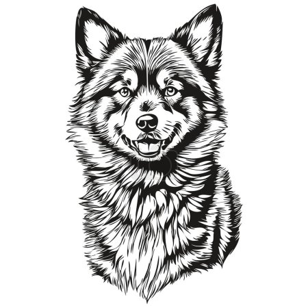 Téléchargez les illustrations : Graphiques vectoriels de chien finlandais Lapphund, illustration de ligne animale au crayon dessiné à la main - en licence libre de droit
