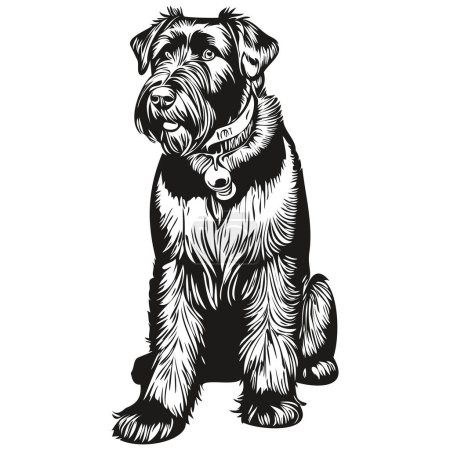 Giant Schnauzer dog logo vector black and white, vintage cute dog head engraved