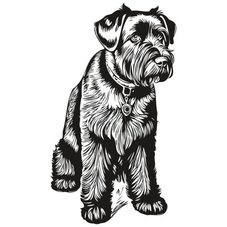 Giant Schnauzer dog outline pencil drawing artwork, black character on white background realistic breed pet